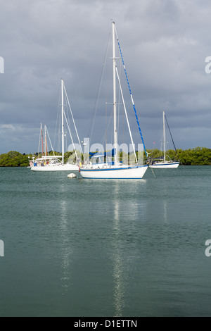 Yacht e barche ormeggiate in nessun Nome porto di Bill Baggs Cape Florida State Park Key Biscayne Miami Foto Stock