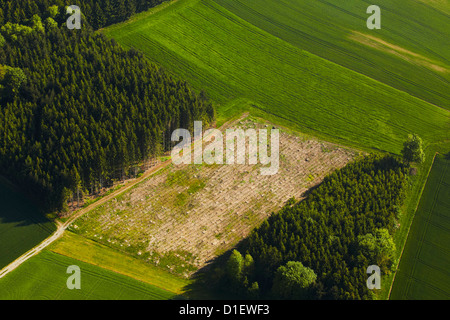 Campi, prati e foreste, foto aeree Foto Stock