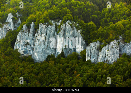 Rocce calcaree nella Valle del Danubio vicino a Hausen, foto aeree Foto Stock