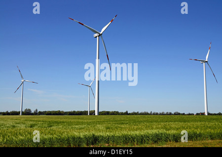 Le turbine eoliche in un cornfield, Meclemburgo-Pomerania, Germania Foto Stock