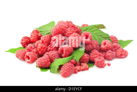 Lamponi freschi con foglia verde su sfondo bianco Foto Stock