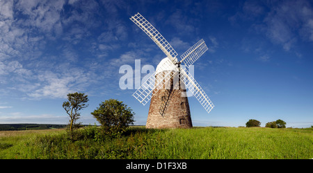 Panorama del mulino a vento Halnaker, una piastrella appesa brick tower mill costruito nel 1750 Foto Stock