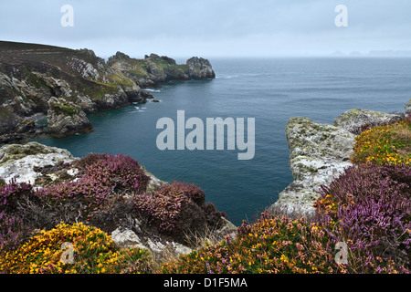 Pointe de Dinan, Crozon Penisola, Finistère, Brittany Foto Stock