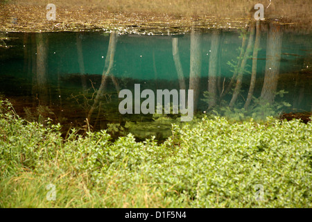 Fontibre,il fiume Ebro, Hermandad de Campoo de Suso, Cantabria, Spagna, Europa Foto Stock