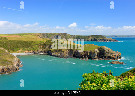 Cercando di Penrhyn Solva St Brides Bay Pembrokeshire Wales Foto Stock