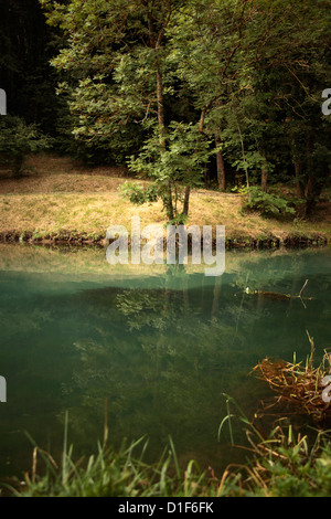 Fontibre,il fiume Ebro, Hermandad de Campoo de Suso, Cantabria, Spagna, Europa Foto Stock