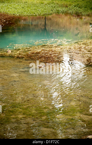 Fontibre,il fiume Ebro, Hermandad de Campoo de Suso, Cantabria, Spagna, Europa Foto Stock