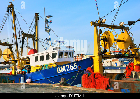 La pesca dei pescherecci da traino, Shoreham, East Sussex, Regno Unito Foto Stock
