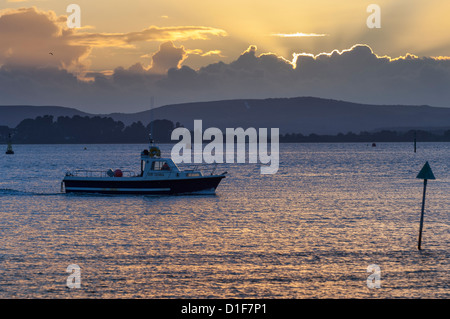 Imbarcazione a motore in Poole Harbour al tramonto Foto Stock