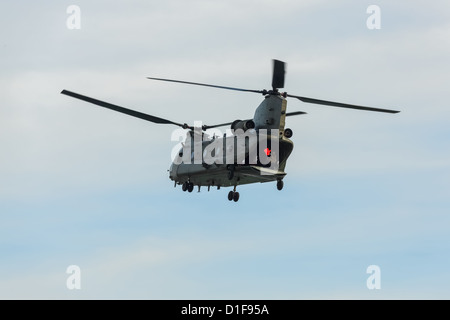 La Chinook HC2 elicottero visualizzazione a Airbourne Foto Stock