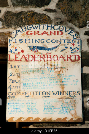 Un vecchio legno verniciato accedi Cadgwith Porto sulla penisola di Lizard in Cornovaglia, England, Regno Unito, Europa Foto Stock