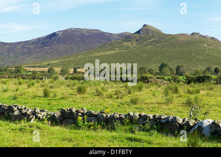 Rocky Mountain, Mourne Mountains, County Down, Ulster (Irlanda del Nord, Regno Unito, Europa Foto Stock