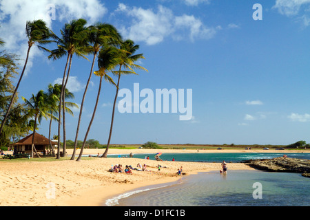 Stagno di sale parco situato sull'isola di Kauai, Hawaii, Stati Uniti d'America. Foto Stock