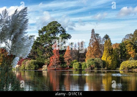 Sheffield Park Gardens Foto Stock