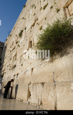 Ebreo ortodosso pregando presso il Muro Occidentale, la Città Vecchia di Gerusalemme, Israele, Medio Oriente Foto Stock