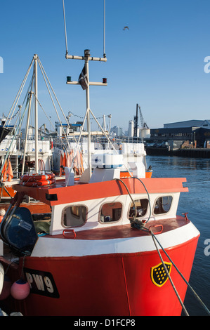 Rosso barca da pesca al suo ormeggio in banchina di Poole Dorset Inghilterra Foto Stock