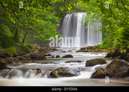 Sgwd yr Eira cascata, Brecon Beacons, Wales, Regno Unito, Europa Foto Stock