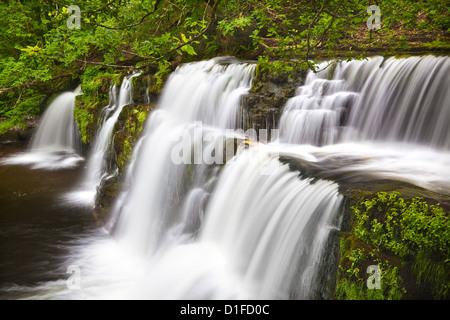 Sgwd y Pannwr cascata, Brecon Beacons, Wales, Regno Unito, Europa Foto Stock