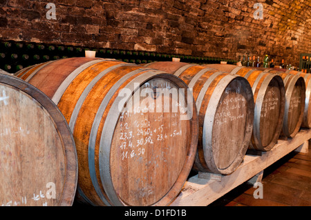 In legno barili di vino e di muffe sulle pareti della cantina del viticoltore Petr Marada, villaggio di Mikulcice, Brnensko, Repubblica Ceca Foto Stock