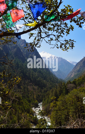 Vista della Valle di Langtang, Langtang National Park, Bagmati, Regione centrale (Madhyamanchal), Nepal, Himalaya, Asia Foto Stock