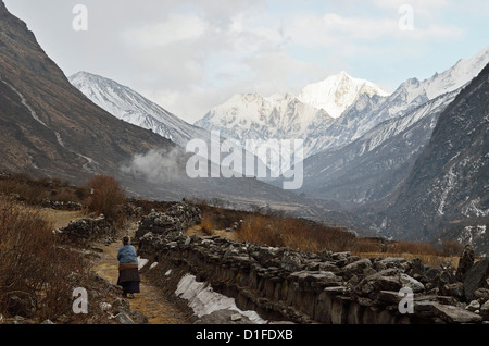 Langtang Valley e Pangen Dopku montagna, Langtang National Park, Bagmati, Regione centrale (Madhyamanchal), Nepal, Himalaya Foto Stock