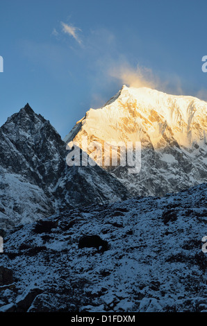 Yak e Langtang Lirung presso sunrise, Langtang National Park, Bagmati, Regione centrale (Madhyamanchal), Nepal, Himalaya, Asia Foto Stock