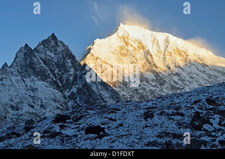 Yak e Langtang Lirung presso sunrise, Langtang National Park, Bagmati, Regione centrale (Madhyamanchal), Nepal, Himalaya, Asia Foto Stock