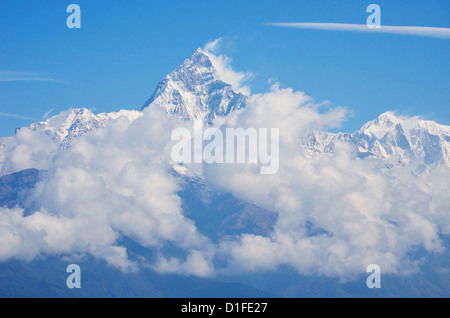 Machapuchare visto da Sarangkot, Gandaki zona, regione occidentale, Nepal, Himalaya, Asia Foto Stock