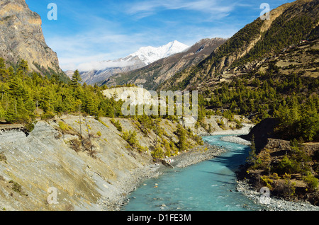 Marsyangdi River Valley, Annapurna Area di Conservazione, Gandaki, Regione Occidentale (Pashchimanchal), Nepal, Himalaya, Asia Foto Stock