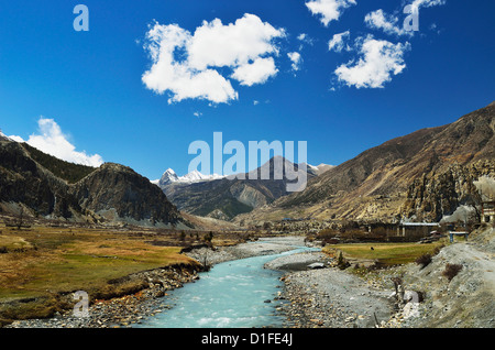 Marsyangdi River Valley, Annapurna Area di Conservazione, Gandaki, Regione Occidentale (Pashchimanchal), Nepal, Asia Foto Stock