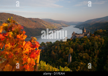 Vitigni di autunno a Burg Stahleck Reno castello, Bacharach, Renania, Germania Foto Stock