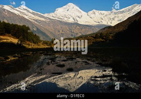 Dhaulagiri Himal visto da Titi, Annapurna Area di Conservazione, Dhawalagiri (Dhaulagiri), Regione Occidentale (Pashchimanchal), Nepal Foto Stock