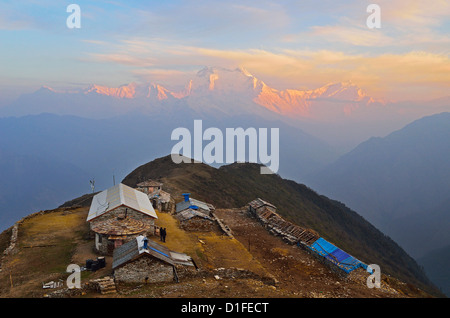 Dhaulagiri Himal visto da Khopra, Annapurna Area di Conservazione, Dhawalagiri (Dhaulagiri), Regione Occidentale (Pashchimanchal), Nepal Foto Stock