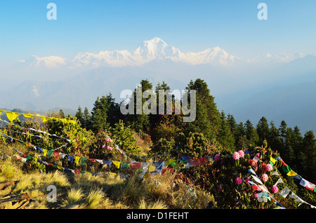 Dhaulagiri Himal visto da Poon Hill, Annapurna Area di Conservazione, Dhawalagiri (Dhaulagiri), Regione Occidentale, Nepal Foto Stock