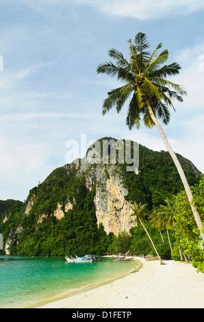 Ton Sai Bay, Ko Phi Phi, Provincia di Krabi, Thailandia, Sud-est asiatico, in Asia Foto Stock