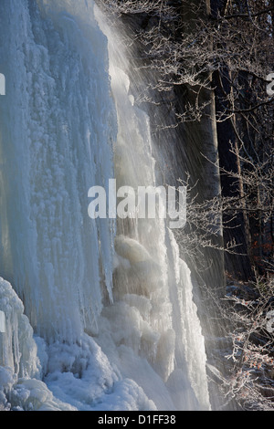 Congelati Radau cascata in inverno vicino a Bad Harzburg, Harz, Bassa Sassonia, Germania Foto Stock