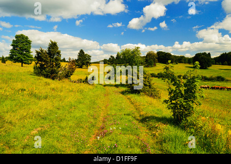 Albstadt-Ebingen, Svevo (Alpi Sveve), Baden-Württemberg, Germania, Europa Foto Stock