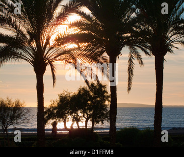 ES - MALLORCA: Tramonto sulla spiaggia di Playa de Palma Foto Stock