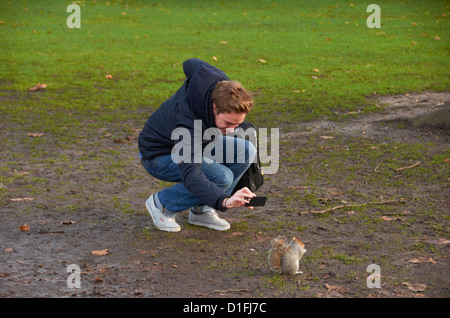 L'uomo prendendo uno scatto di uno scoiattolo sul suo telefono cellulare dotato di fotocamera digitale Foto Stock