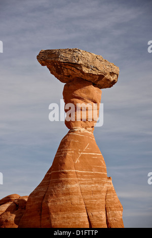 Toadstool hoodoo, Grand Staircase-Escalante monumento nazionale, Utah, Stati Uniti d'America, America del Nord Foto Stock
