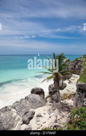 Incredibili panorami tropicali a Tulum spiaggia vicino a Playa Del Carmen, Messico. Foto Stock