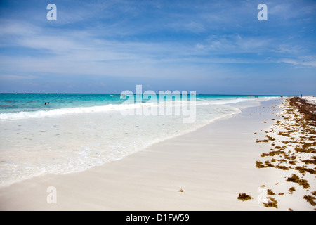 Incredibile spiaggia dei Caraibi di Tulum vicino a Playa Del Carmen, Messico. Foto Stock