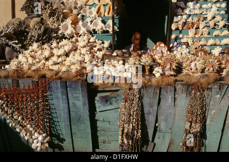 Vendor che vende conchiglie anche nel mercato di Kanyakumari Conosciuto come Capo Comorin in Tamil Nadu India Foto Stock