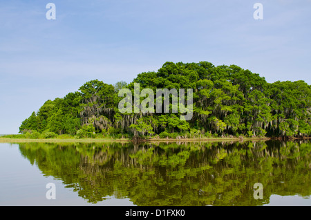 Everglades, Sito Patrimonio Mondiale dell'UNESCO, Florida, Stati Uniti d'America, America del Nord