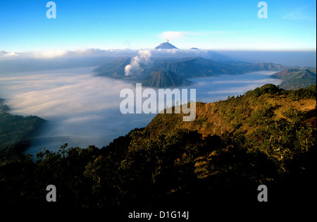 Caldeira e bromo, 2329 m, e Semeru, 3676 m, due vulcani su Java, Indonesia, Asia sud-orientale, Asia Foto Stock