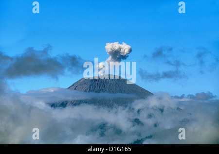 Caldeira e bromo a 2329 m, e Semeru a 3676m, vulcani su Java, Indonesia, Asia sud-orientale, Asia Foto Stock