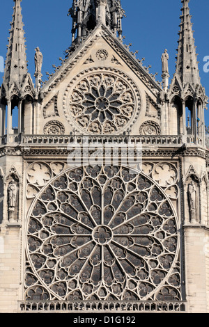 Facciata meridionale della Cattedrale di Notre Dame de Paris cathedral, Parigi, Francia, Europa Foto Stock