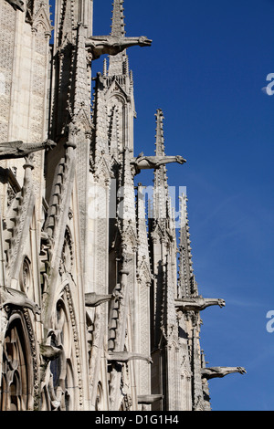 Doccioni sulla Cattedrale di Notre Dame, Paris, Francia, Europa Foto Stock