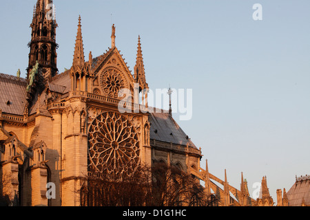Rosone sulla facciata sud, la cattedrale di Notre Dame, Paris, Francia, Europa Foto Stock