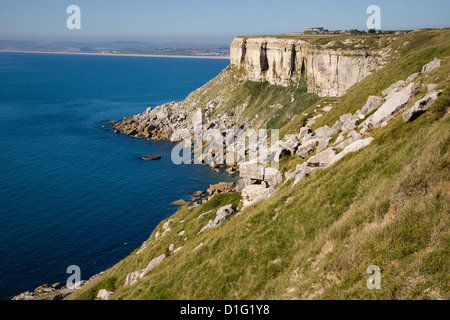 Scogliere verticali di limestone Portland sulla costa ovest di Portland Bill Dorset Regno Unito Foto Stock